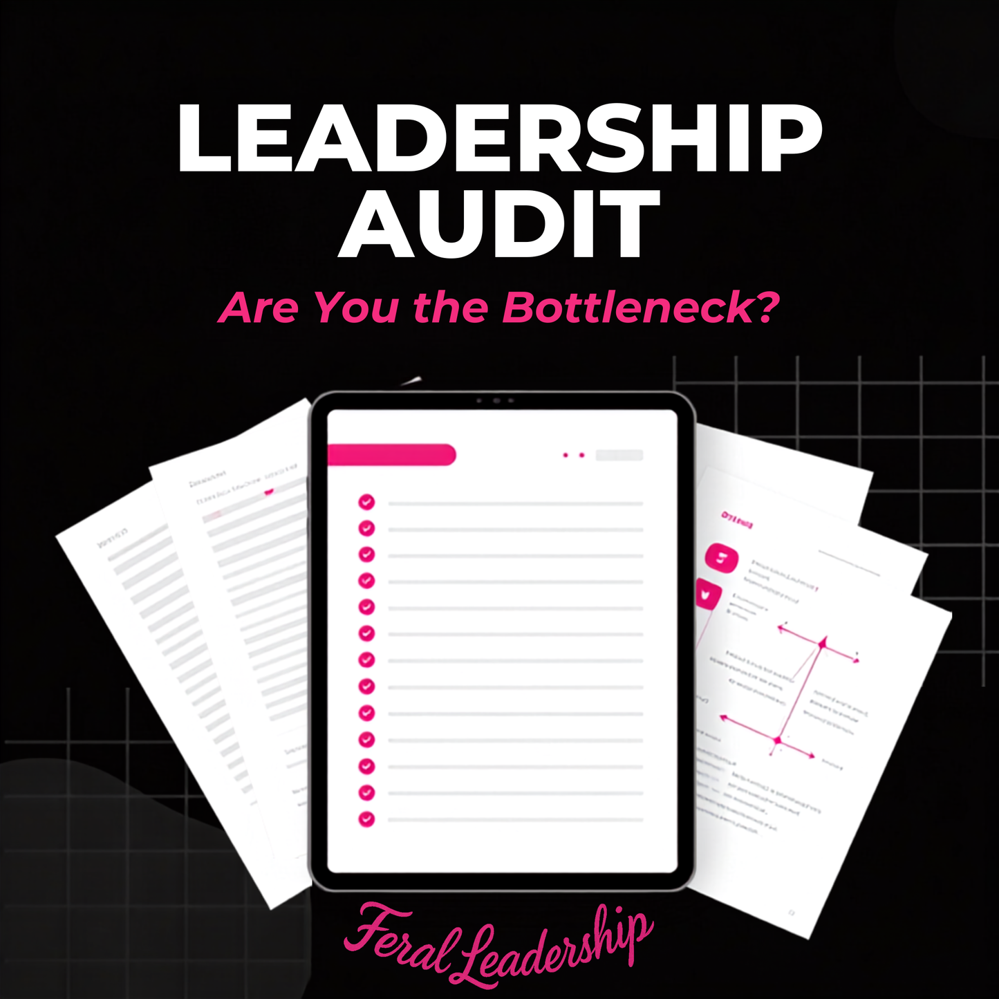 FREE-Leadership Identity Audit